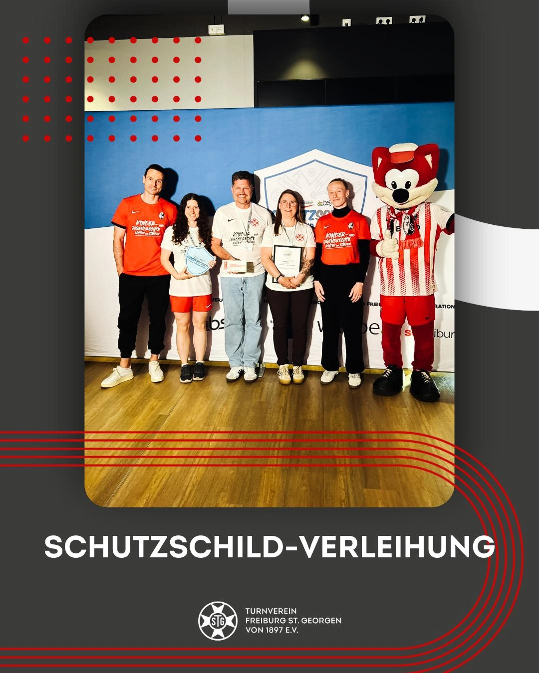 Schutzschild im und für den Sport - Image 1